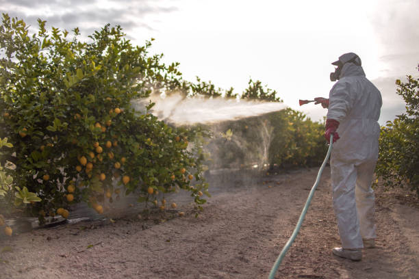 Best Bed Bug Extermination  in Bell Acres, PA