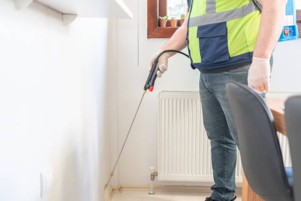 Best Wasp Removal Services  in Bell Acres, PA