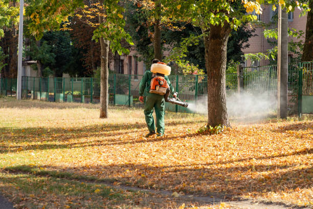 Pest Control Cost in Bell Acres, PA