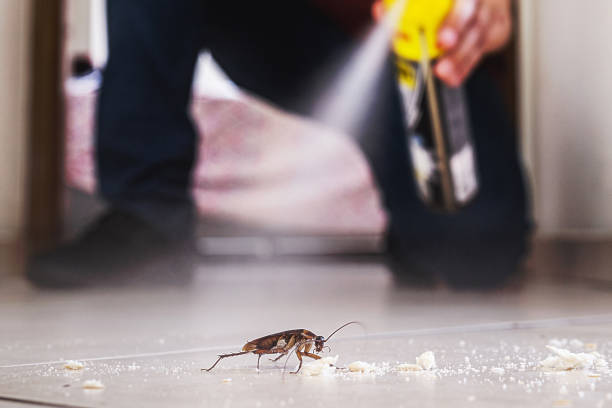 Best Emergency Pest Control  in Bell Acres, PA