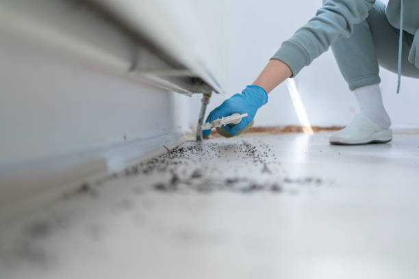 Best Termite Control Services  in Bell Acres, PA